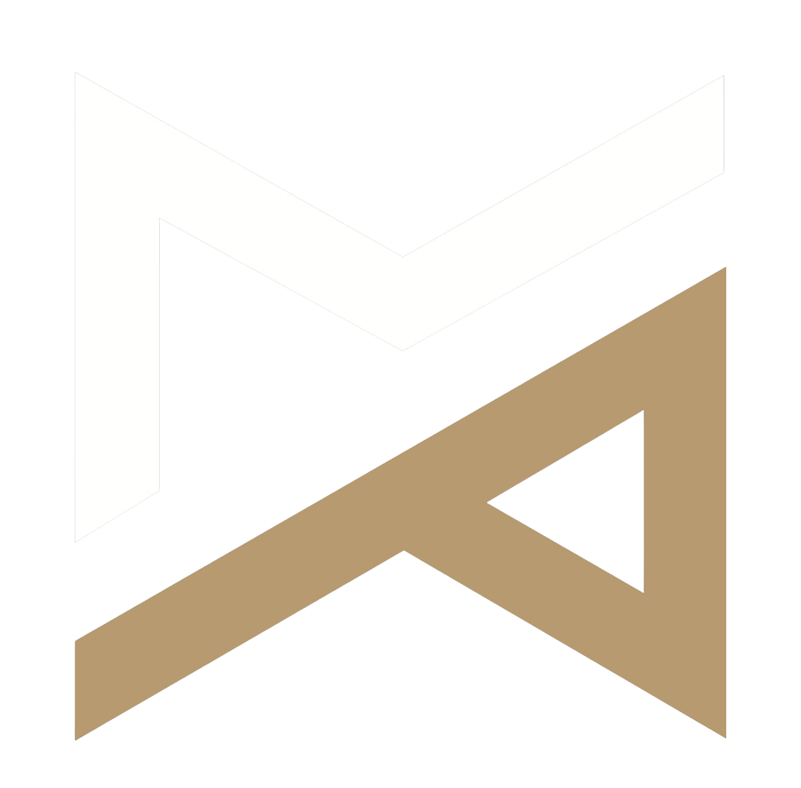 MAS Project